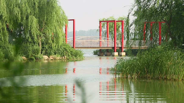 yy易游怎么安装